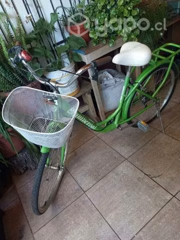 Bicicleta de paseo color verde
