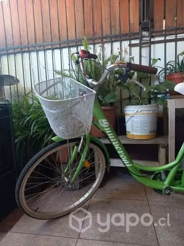 Bicicleta de paseo color verde