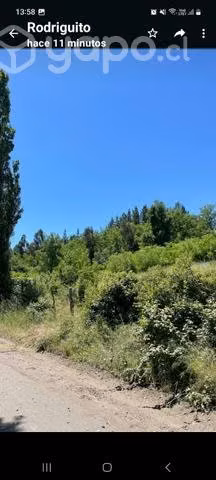 Parcela en cabrero