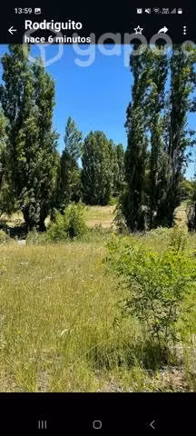 Parcela en cabrero