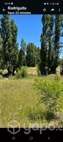 Parcela en cabrero