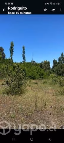 Parcela en cabrero