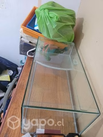 Pescera - Imagen 2