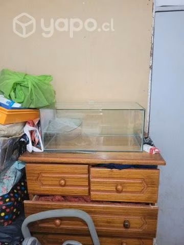 Pescera