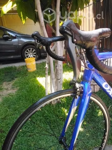 Bicicleta rutera