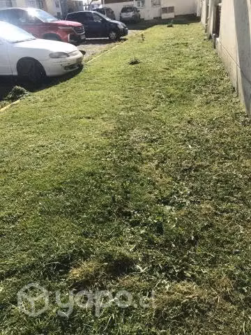 Se ofrece cortador de pasto