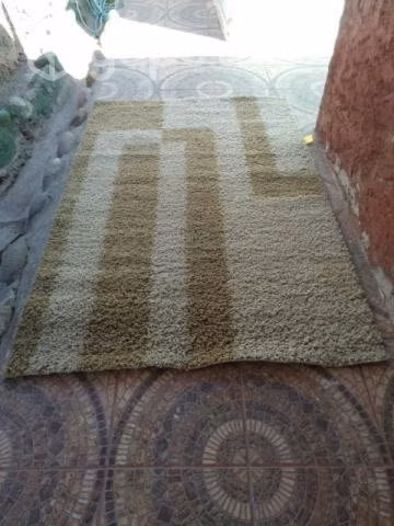 alfombra