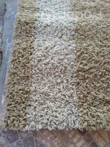 alfombra