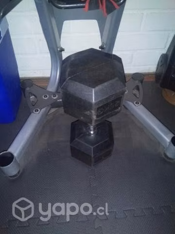 Mancuerna hexagonal 25 kgs