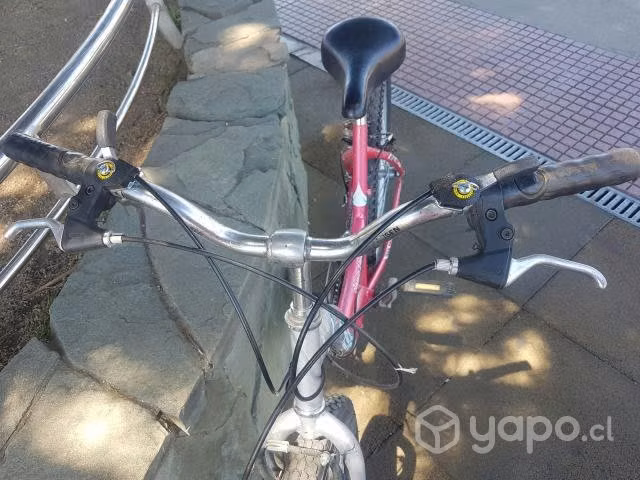 Bicicleta 24 mantencion recien hecha