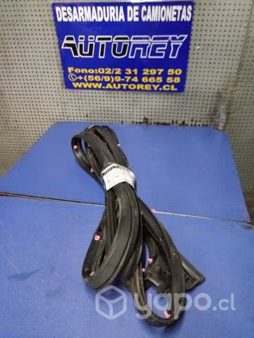 Goma contorno puerta del izq Ford F150 2019