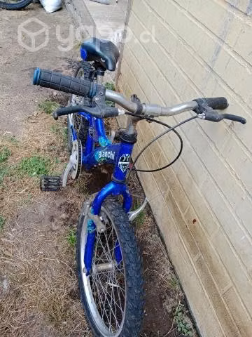 bicicleta Bianchi Wolf