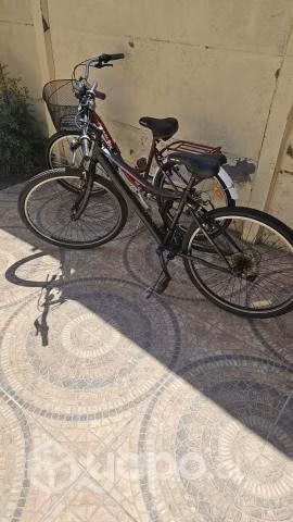 Bicicletas