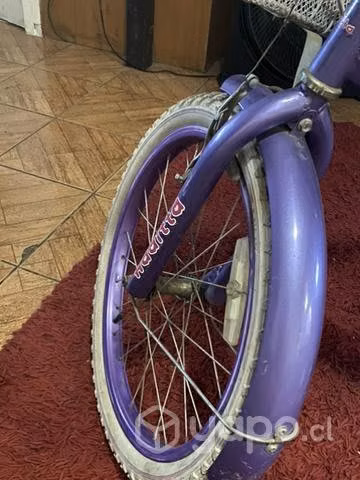 Bicicleta. Haditta aro 20