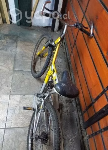 Bicicleta oxford - Imagen 3