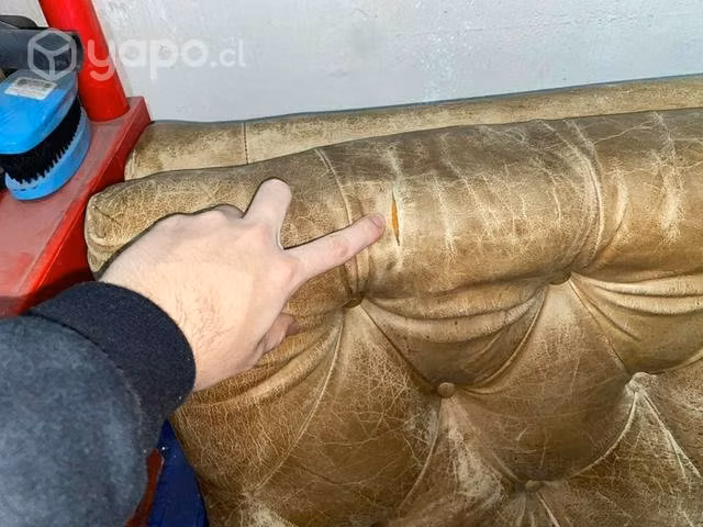 Berger antiguo - Imagen 3