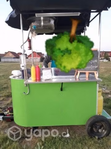 Carrito churrasquero