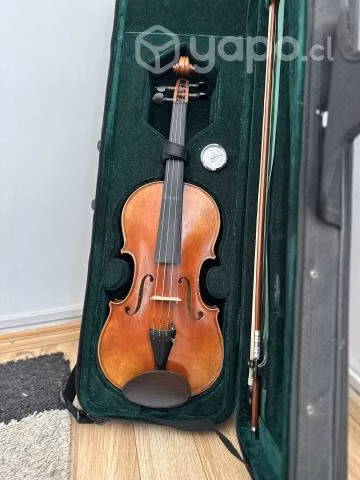 Violín