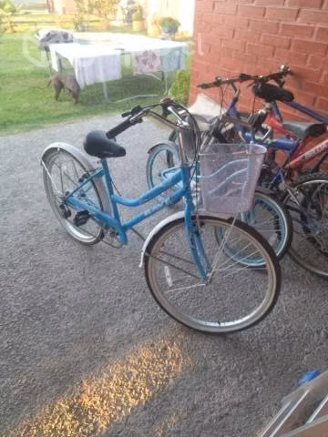 Bicicleta celeste de campo - Imagen 3