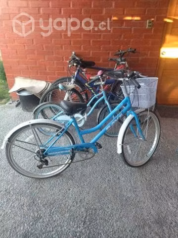 Bicicleta celeste de campo - Imagen 2