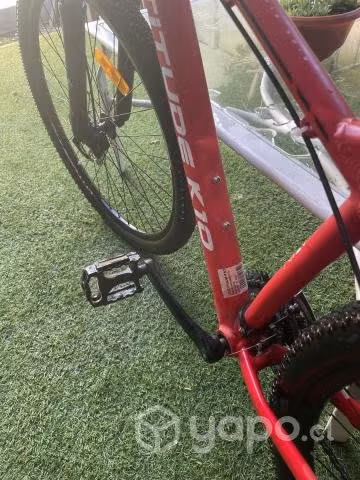 MTB aro 29