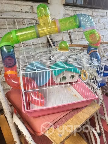 Jaula hamster