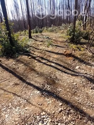 Terreno de una hectárea - Imagen 10