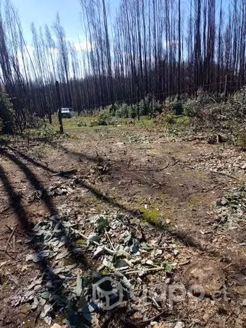 Terreno de una hectárea - Imagen 8