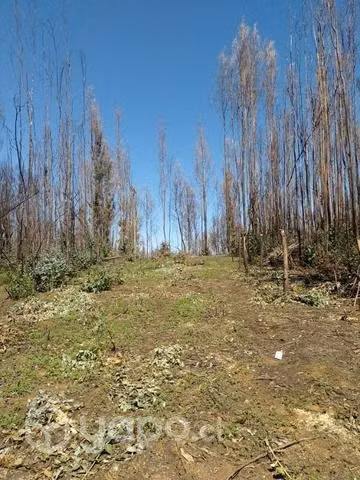Terreno de una hectárea - Imagen 2
