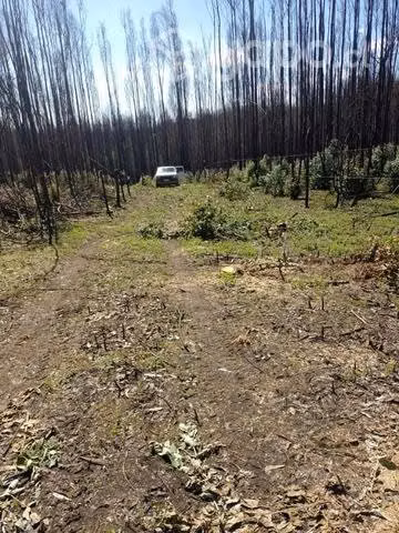 Terreno de una hectárea - Imagen 3