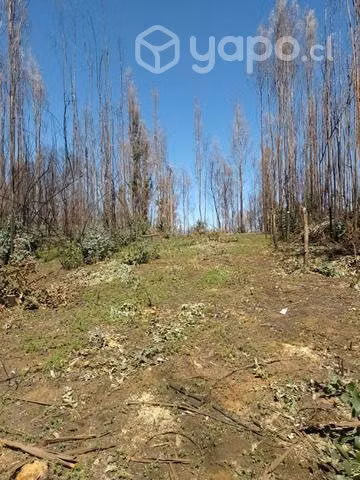 Terreno de una hectárea - Imagen 7