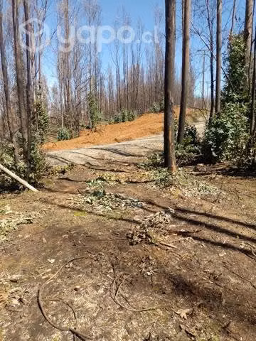 Terreno de una hectárea - Imagen 6