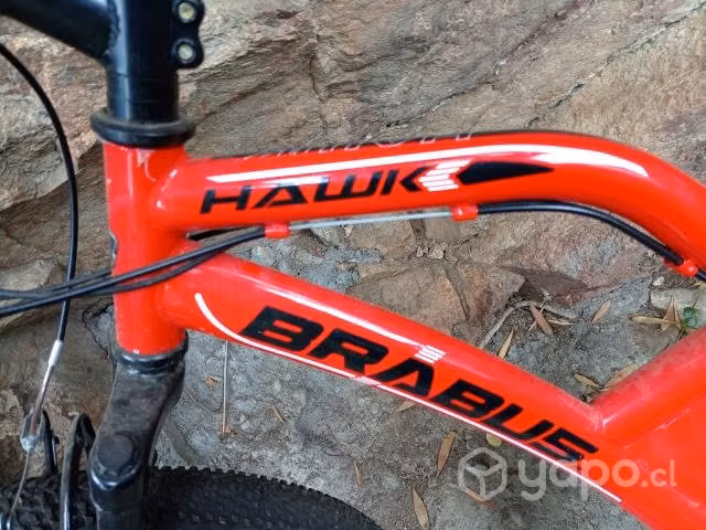 Bicicleta brabus aro 26 - Imagen 2