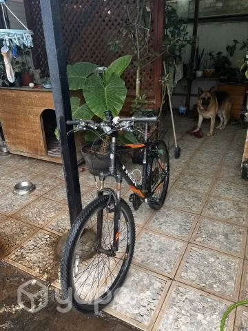 Bicicleta TREK - Imagen 2