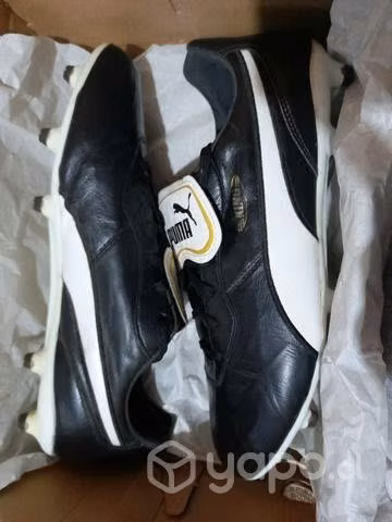 Chuteadores puma