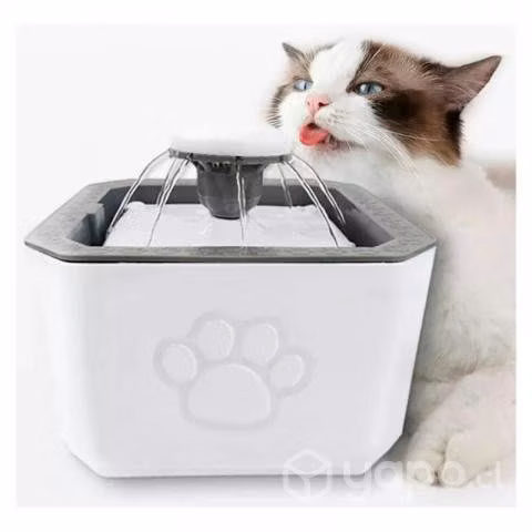 Bebedero para mascota / delivery gratis