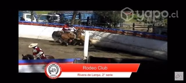 Caballo corriendo - Imagen 3
