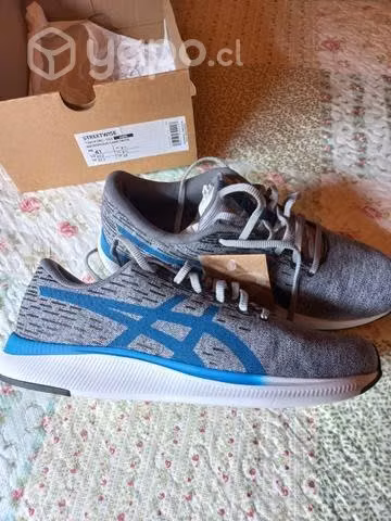 Zapatillas asís