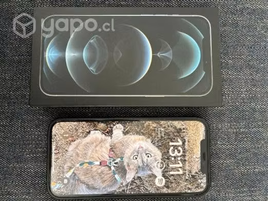 Iphone 12 pro max 256 gb silver apple