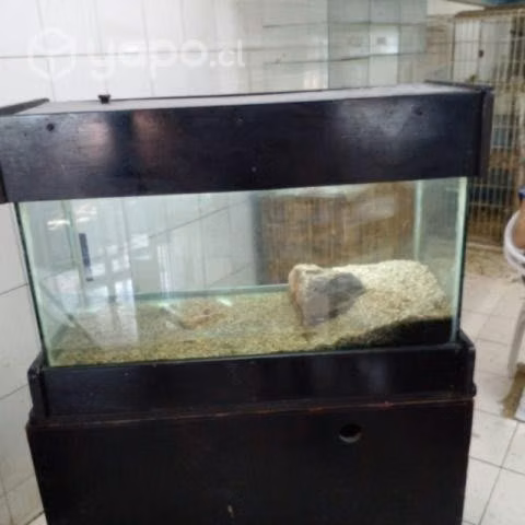Acuario incluye mueble