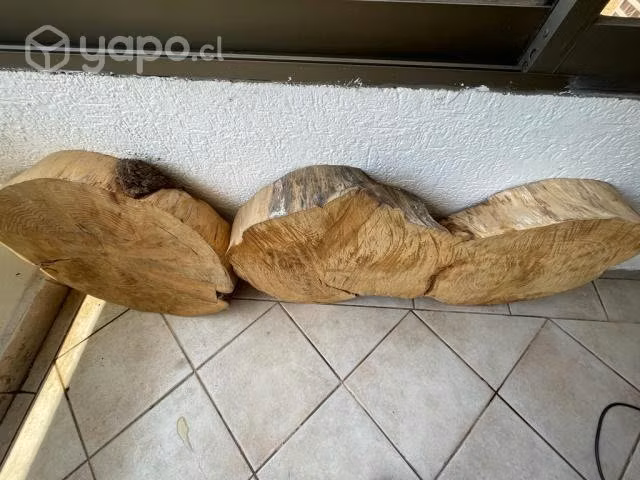 Rodajas de madera