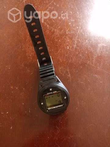 Reloj de buseo