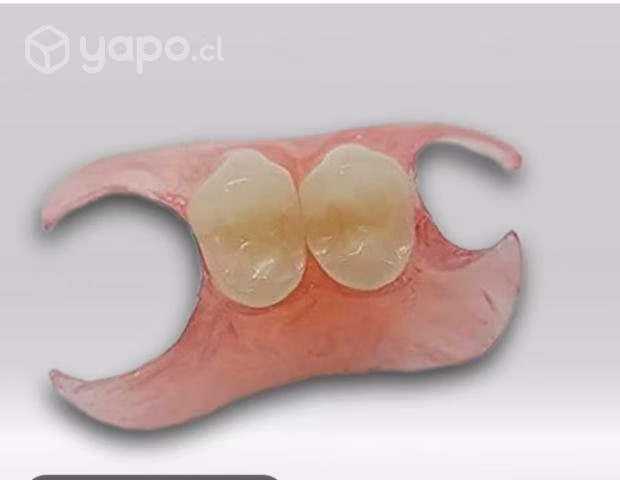Prótesis Dental