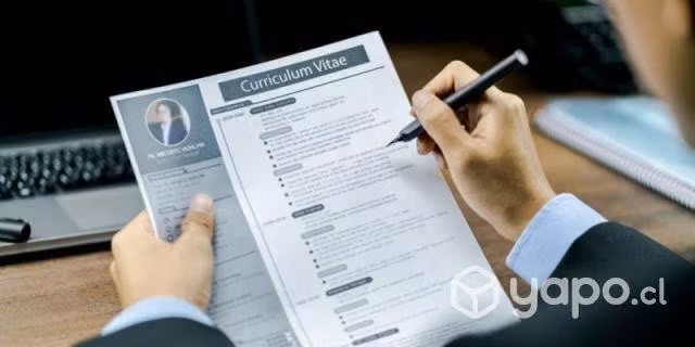 Creacion de Curriculum Vitae Profesional