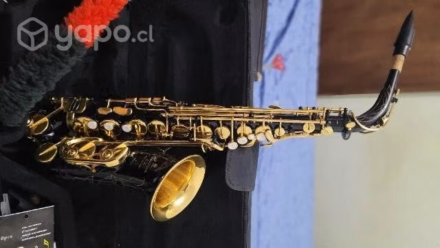 Saxo alto