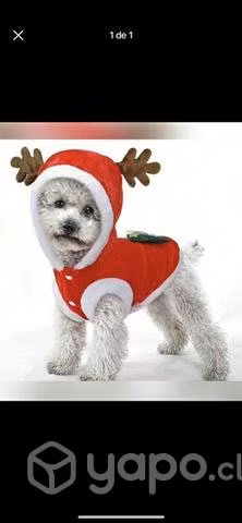 Ropita navidad para perrito