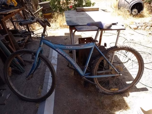 Bicicletas