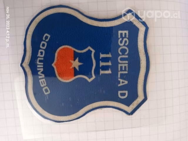 Insignia escuela D-111