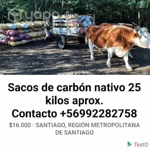 Carbón nativo