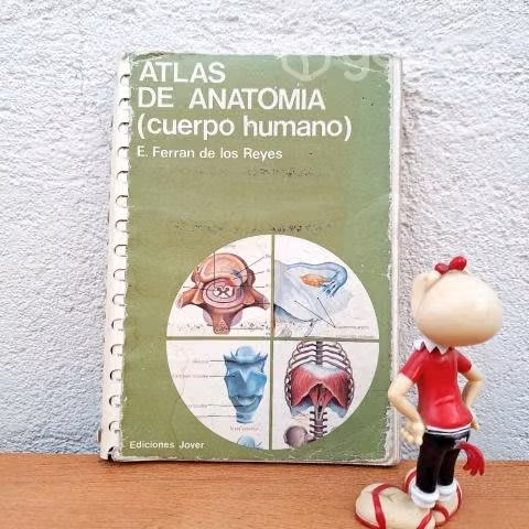 ATLAS DE ANATOMÍA / E. Ferran de los Reyes